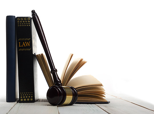 Gavel and legal books